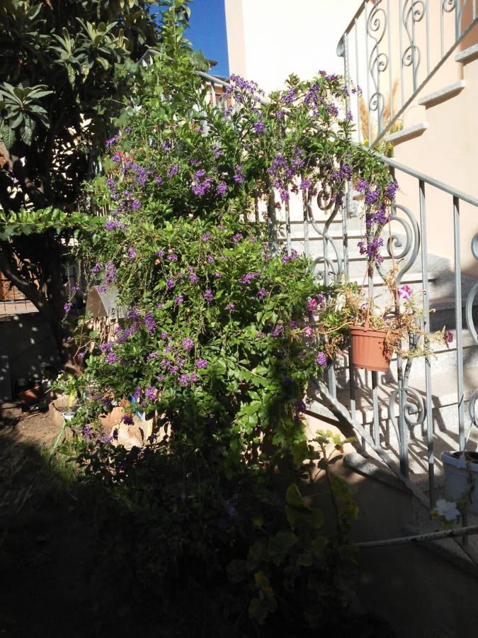 B&B Sos Manneddos Posada  Exterior foto